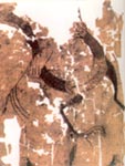 新疆出土的凤鸟刺绣